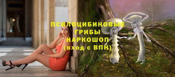 a pvp Белоозёрский