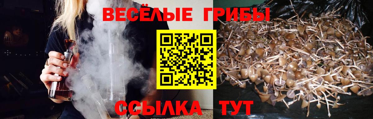 Галлюциногенные грибы GOLDEN TEACHER  Вход с VPN  Ессентуки 
