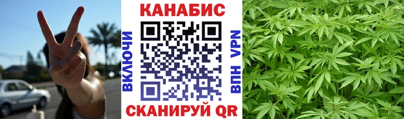 Шишки марихуана MAZAR  Ессентуки 
